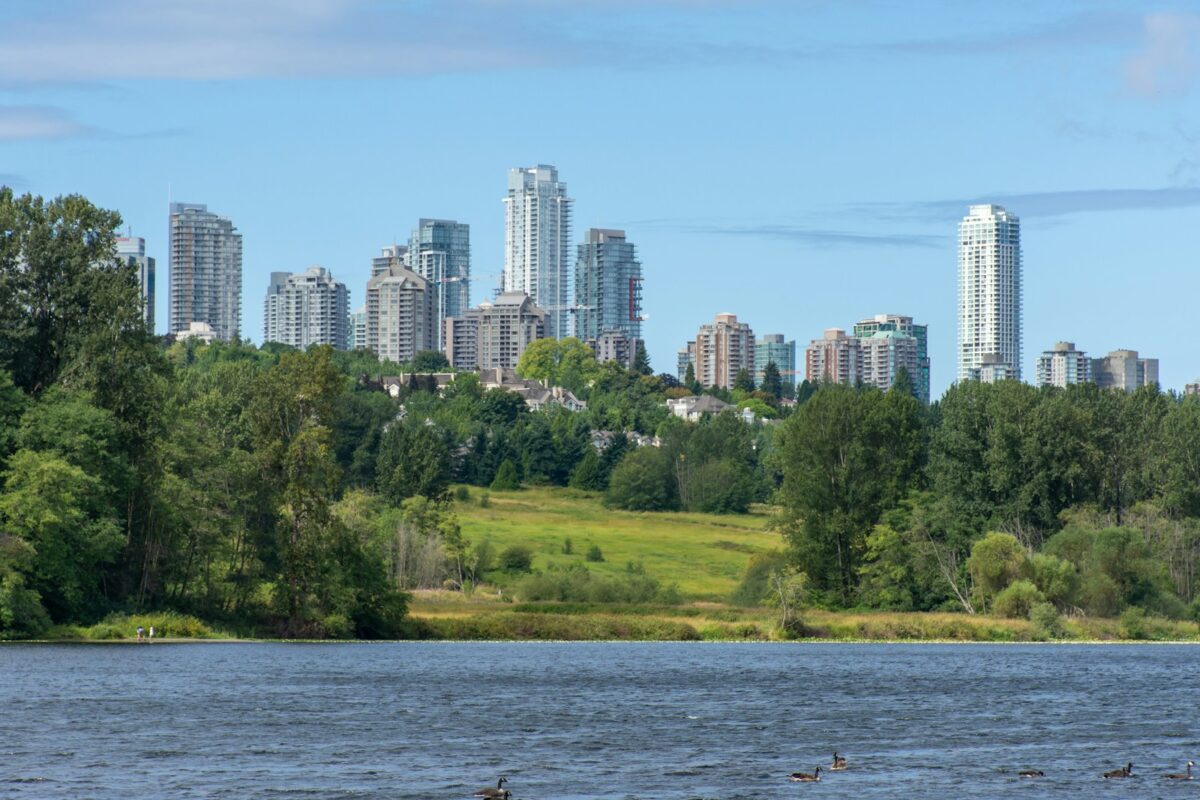 green trees near body of water during daytime